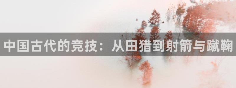 vsport体育官方正版app娱乐下载:中国古代的竞技:从田