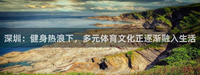 vsport体育官方正版app集团logo:深圳:健身热浪下